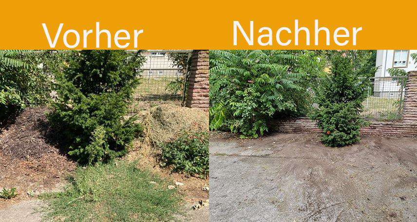 Grünschnittcontainer für Gartenabfälle in Berlin